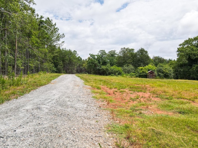 1521 Old Pacolet Rd, Spartanburg, SC 29307 - photo 24