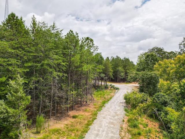 1521 Old Pacolet Rd, Spartanburg, SC 29307 - photo 25