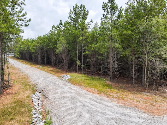 1521 Old Pacolet Rd, Spartanburg, SC 29307 - photo 26