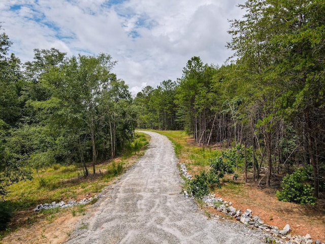 1521 Old Pacolet Rd, Spartanburg, SC 29307 - photo 27