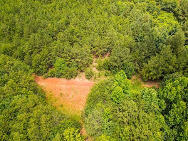 1521 Old Pacolet Rd, Spartanburg, SC 29307 - photo 32