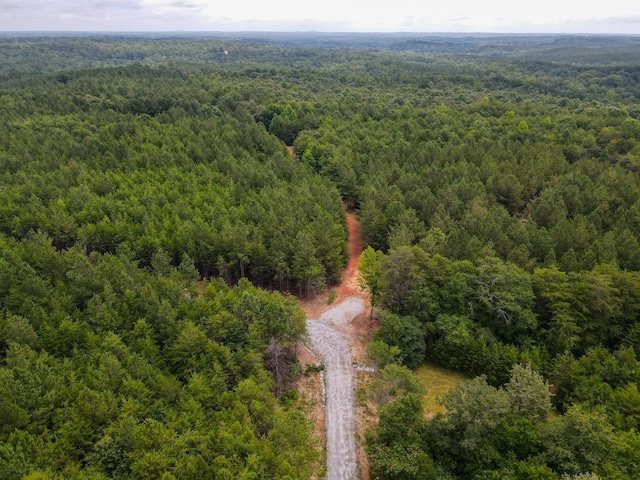 1521 Old Pacolet Rd, Spartanburg, SC 29307 - photo 45
