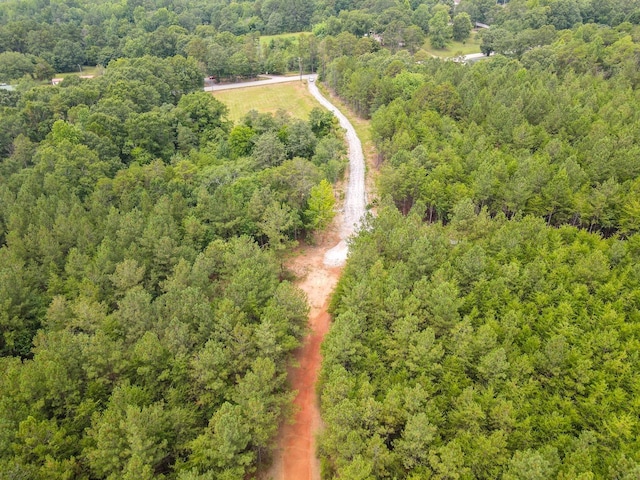 1521 Old Pacolet Rd, Spartanburg, SC 29307 - photo 47