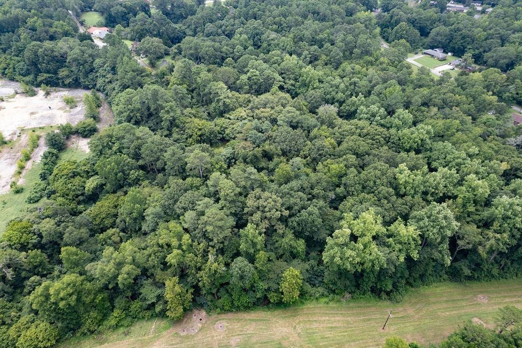 0 Maid Marion Dr, Union, SC 29379 - photo 2