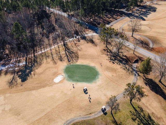 1 Carnoustie Ct, Campobello, SC 29322 - view of property location featuring a local golf course