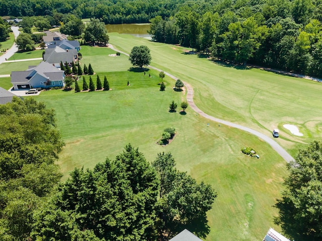 1 Carnoustie Ct, Campobello, SC 29322 - photo 46