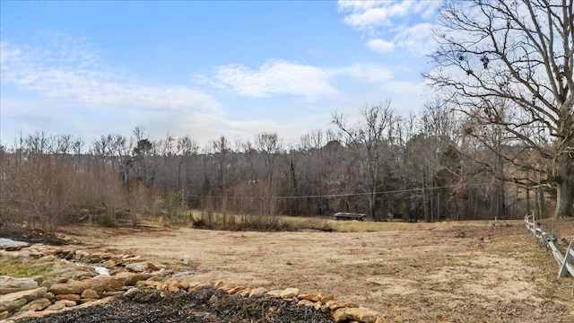 300 Liberty Hill Rd, Greer, SC 29651 - photo 41
