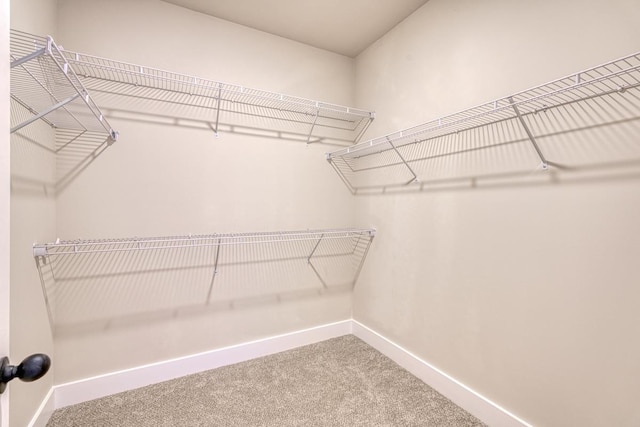 155 Chestnut Dr, Woodruff, SC 29388 - walk in closet featuring carpet flooring