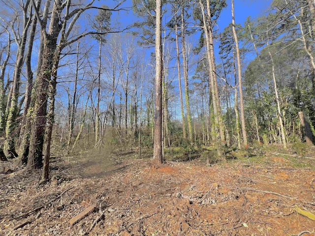0 S Irwin Ave, Spartanburg, SC 29306 - photo 2