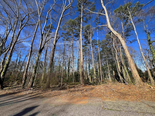 0 S Irwin Ave, Spartanburg, SC 29306 - photo 8