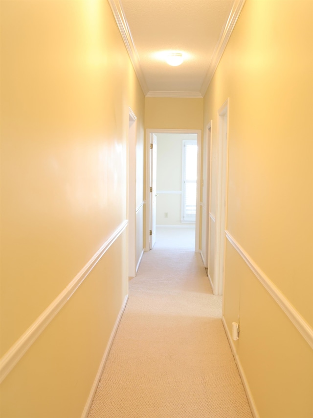 101 Sheraton Loop, Gaffney, SC 29341 - hallway featuring ornamental molding and light colored carpet