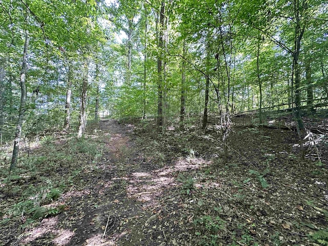 00 Peach St, Inman, SC 29349