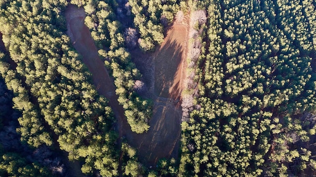 00 Shiloh Church Rd, Pauline, SC 29374 - photo 6