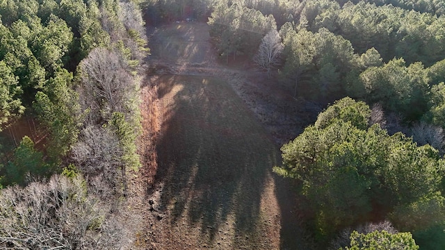 00 Shiloh Church Rd, Pauline, SC 29374 - photo 7