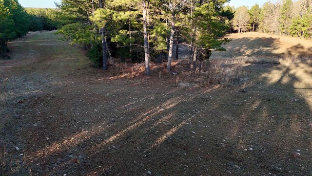 00 Shiloh Church Rd, Pauline, SC 29374 - photo 16