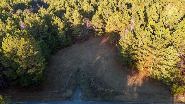 00 Shiloh Church Rd, Pauline, SC 29374 - photo 19