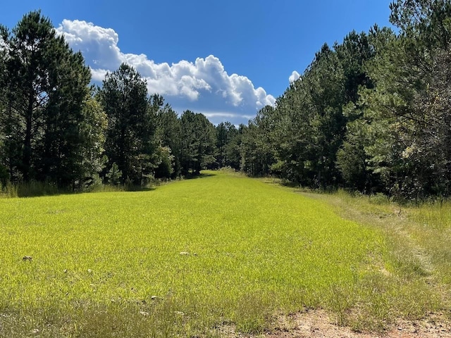 00 Shiloh Church Rd, Pauline, SC 29374 - photo 2