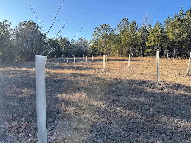 00 Shiloh Church Rd, Pauline, SC 29374 - photo 4