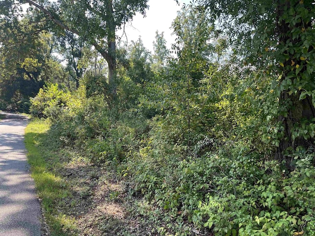 00 Porter St, Wellford, SC 29385