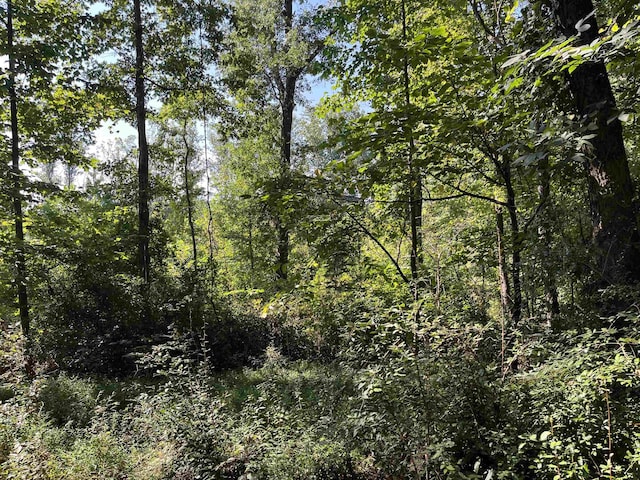 00 Porter St, Wellford, SC 29385