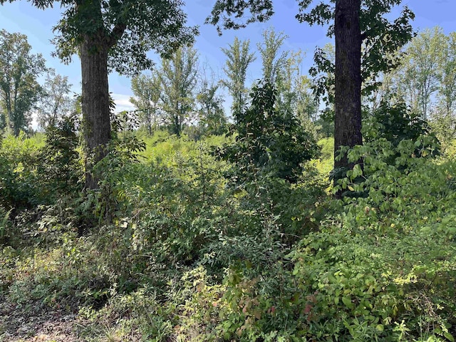 00 Porter St, Wellford, SC 29385
