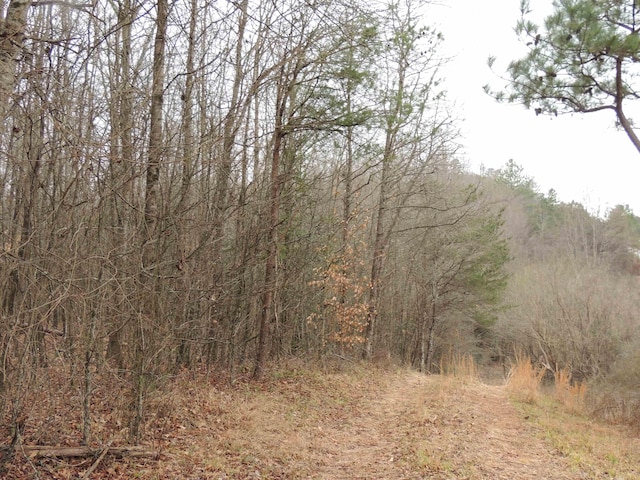 Lister Rd, Greer, SC 29651 - photo 1