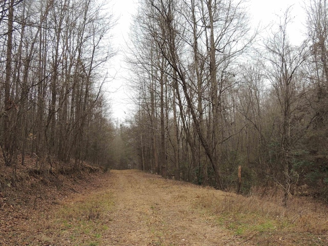 Lister Rd, Greer, SC 29651 - photo 6