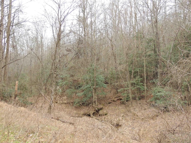 Lister Rd, Greer, SC 29651 - photo 4