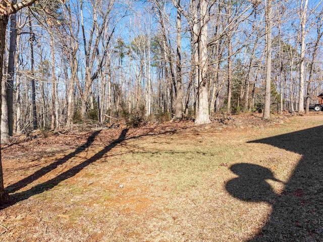 160 Blake Garrison Dr, Roebuck, SC 29376 - view of green lawn