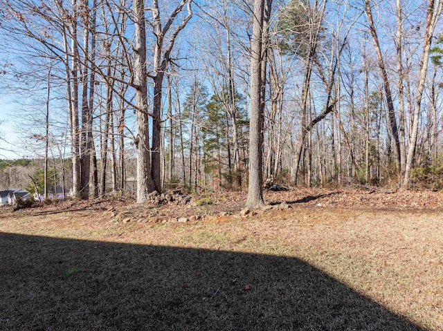 160 Blake Garrison Dr, Roebuck, SC 29376 - view of yard