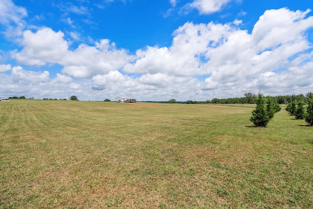 3277 Neely Ferry Rd, Laurens, SC 29360 - photo 4
