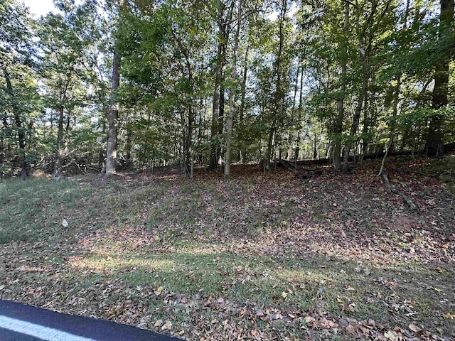 903 S Hogan Dr, Westminster, SC 29693 - photo 2