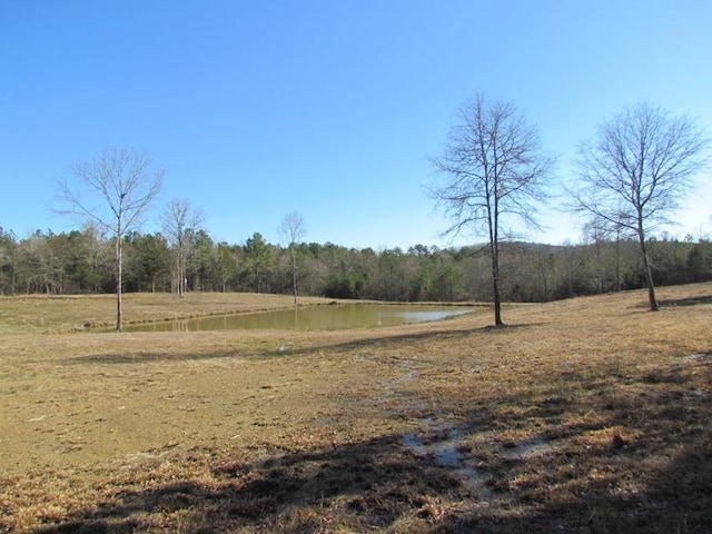 794 Ford Rd, Gaffney, SC 29340 - photo 7