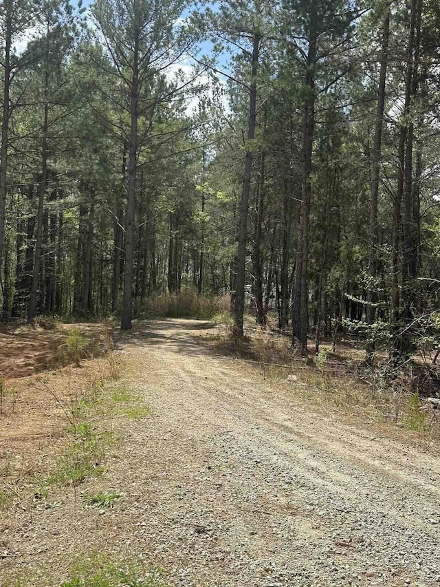 70 Abernathy Rd, Campobello, SC 29322 - photo 4
