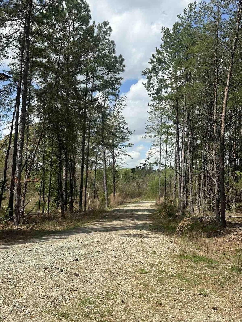 70 Abernathy Rd, Campobello, SC 29322 - photo 2