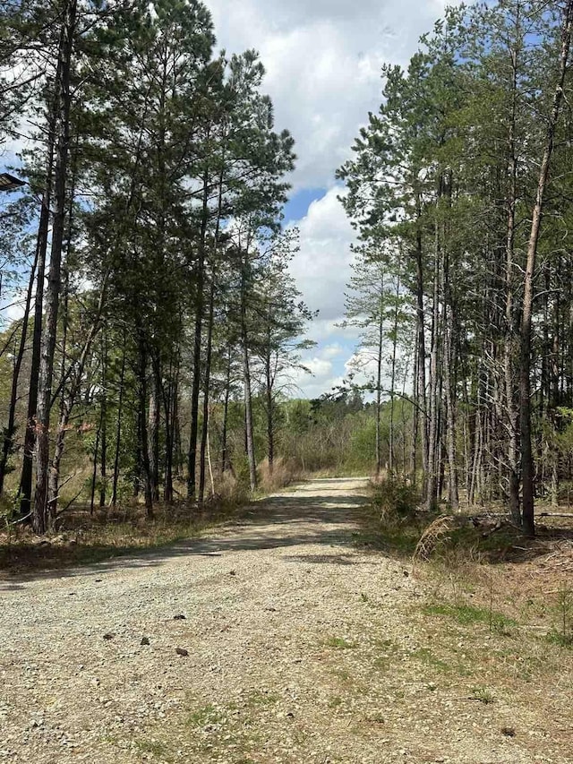 70 Abernathy Rd, Campobello, SC 29322 - photo 2