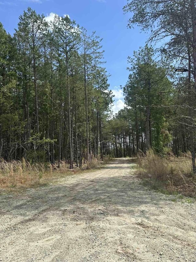 70 Abernathy Rd, Campobello, SC 29322 - photo 3
