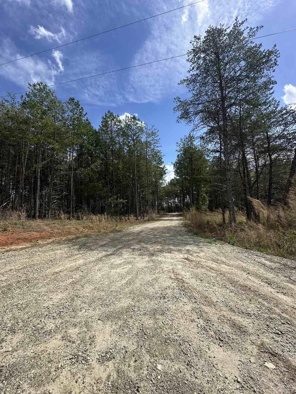 70 Abernathy Rd, Campobello, SC 29322 - photo 1
