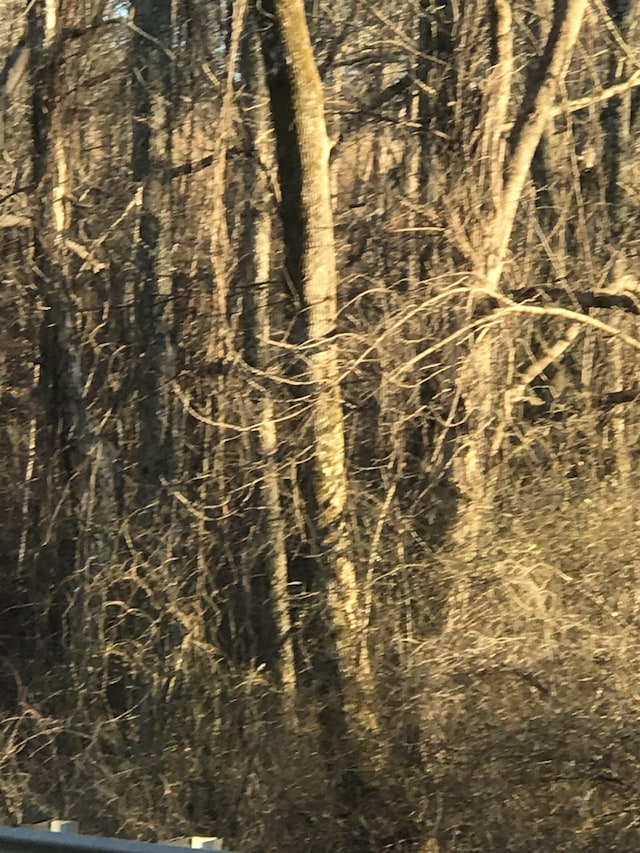 Old Converse Rd, Spartanburg, SC 29301 - photo 4