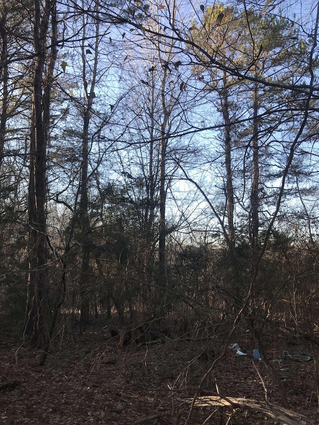 Old Converse Rd, Spartanburg, SC 29301 - photo 8