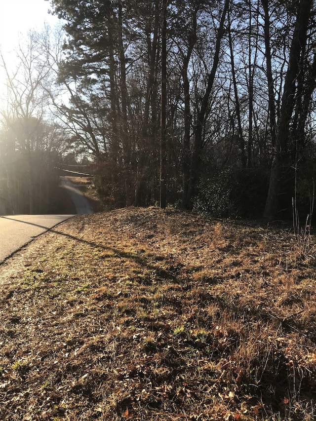 Old Converse Rd, Spartanburg, SC 29301 - photo 10