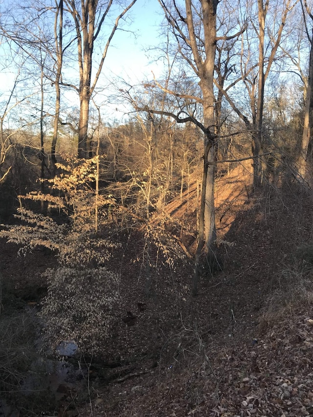 Old Converse Rd, Spartanburg, SC 29301 - photo 16