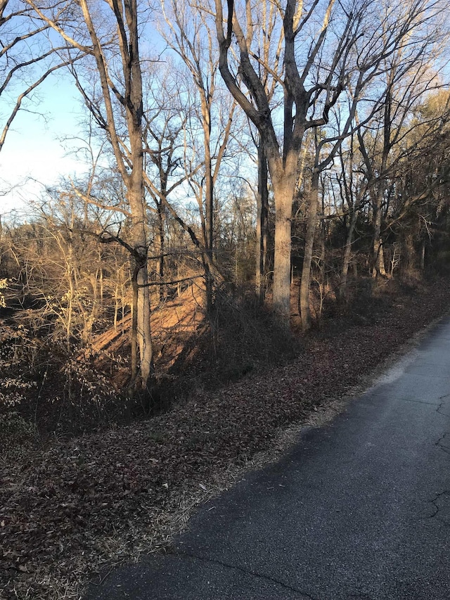 Old Converse Rd, Spartanburg, SC 29301 - photo 17
