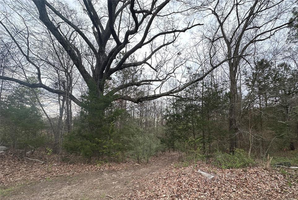 00 Zion Church Rds, Pacelot, SC 29372 - photo 1