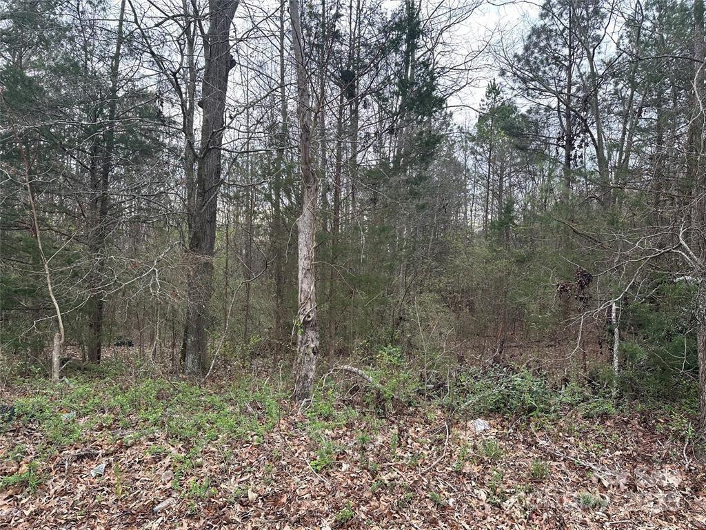 00 Zion Church Rds, Pacelot, SC 29372 - photo 2