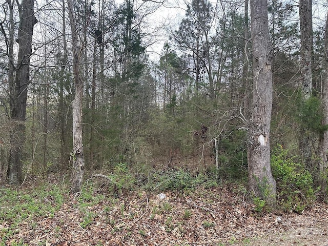 00 Zion Church Rds, Pacelot, SC 29372 - photo 3