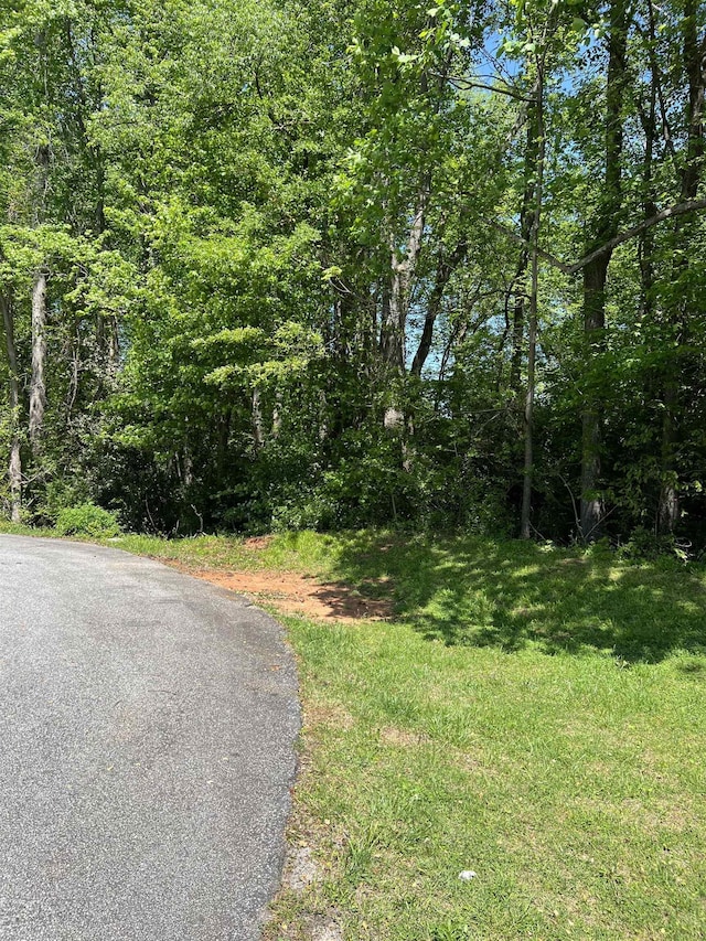 LOT55 Lincoln Dr, Gaffney, SC 29341 - photo 4