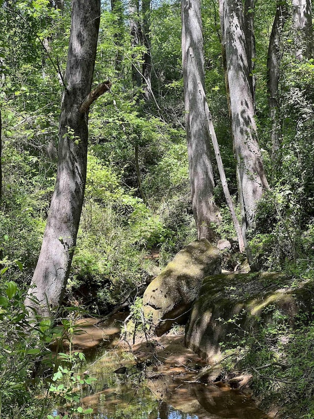 LOT55 Lincoln Dr, Gaffney, SC 29341 - photo 6