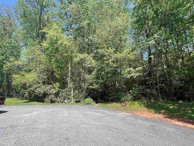 LOT55 Lincoln Dr, Gaffney, SC 29341 - photo 3