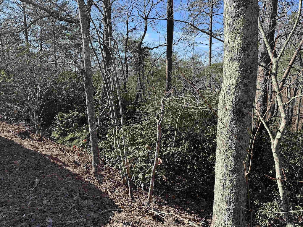 00 Caldonia Rd, Landrum, SC 29356 - photo 1
